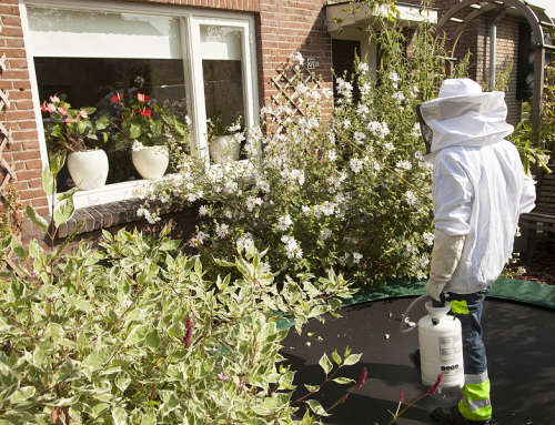 Getting the Best Pest Control Service in Melbourne
